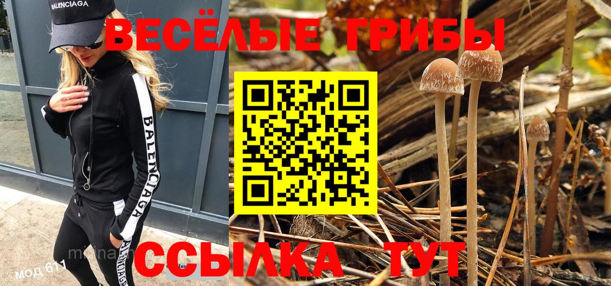 Псилоцибиновые грибы Psilocybe Железноводск