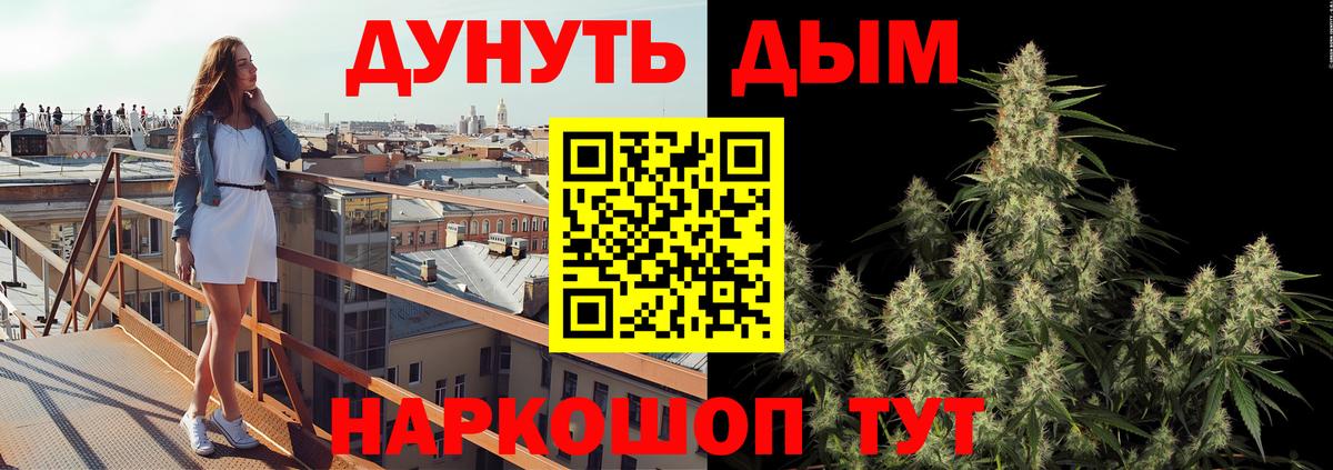 Каннабис сатива Железноводск